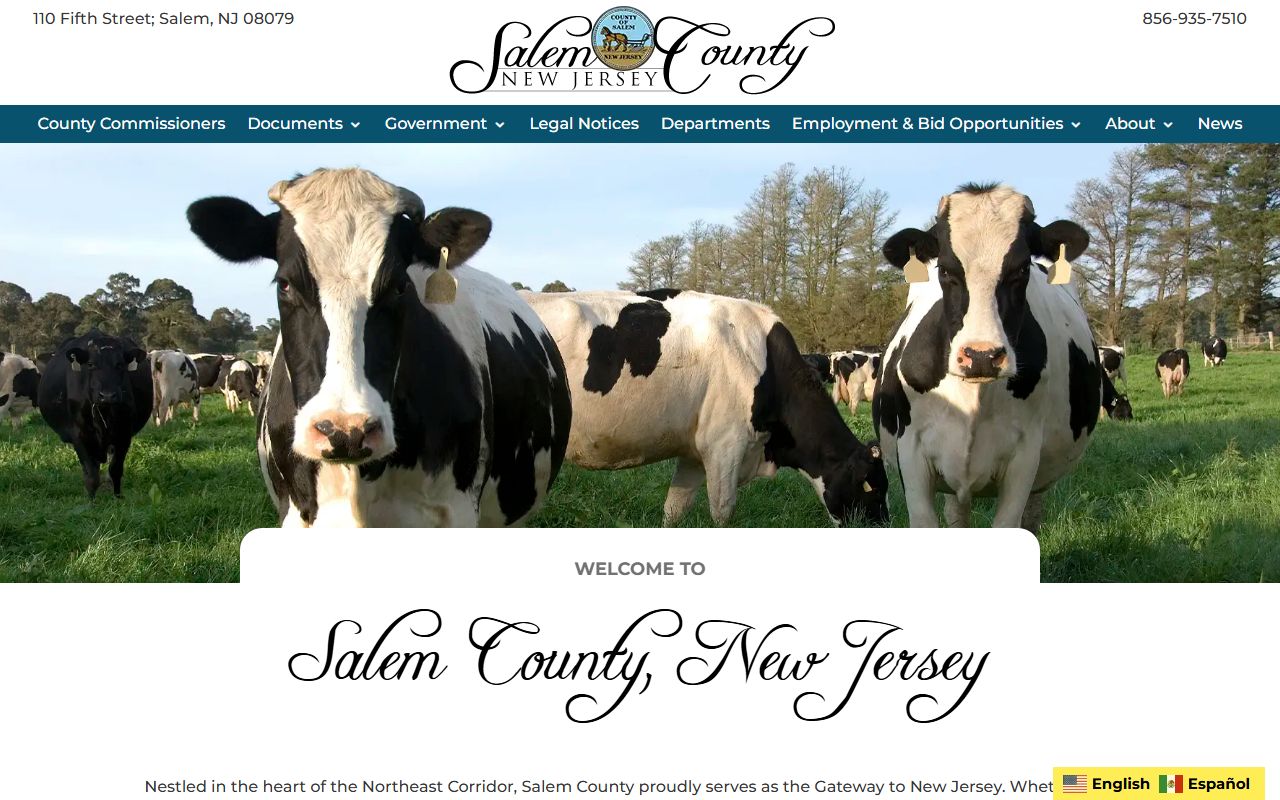 Salem County government website for public records access